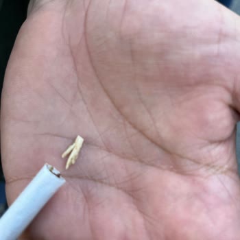 Parliament Sigarada Sürekli Kalite Sorunu Ve Yabancı Madde Şikayeti