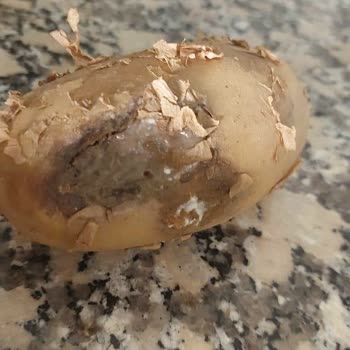 Migros Hemen Siparişlerinde Sürekli Çürük Ve Kokmuş Sebze-meyve Teslimatı