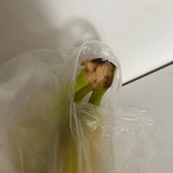 Migros Sanal Marketten Siparişimde Kurye Muzumu Aldı