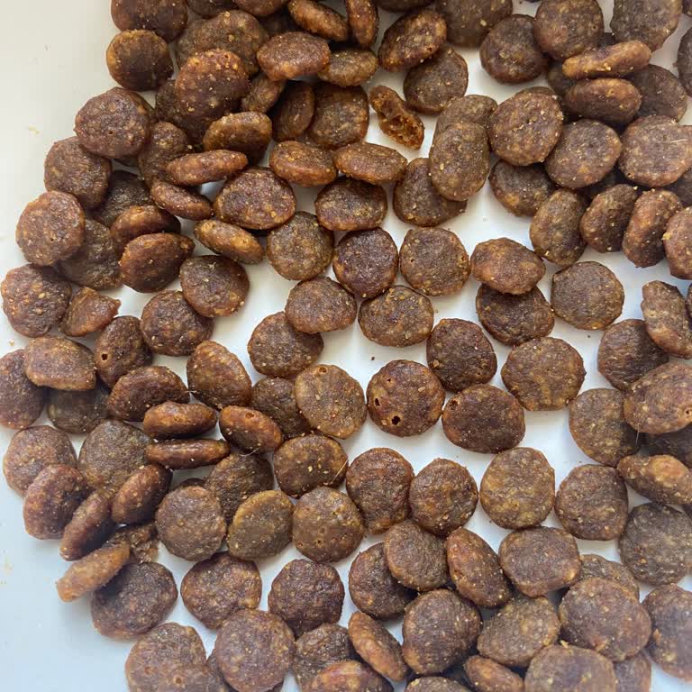 Kurtlanmış Ve Delik Mama Paketi Mağduriyeti!