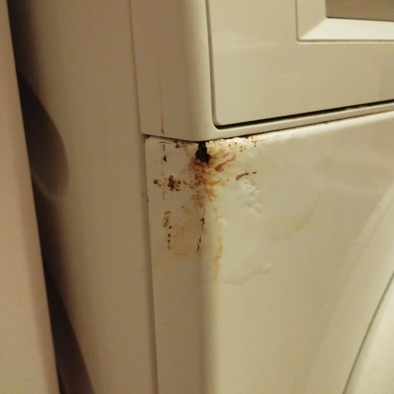 Bosch Çamaşır Makinesinde Nedensiz Paslanma Sorunu