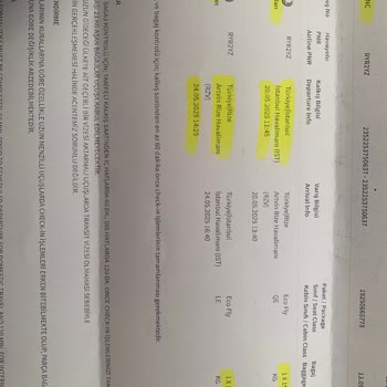 Balayı Dönüşü Bagajdan Altınlarımız Kayboldu, Güvenimiz Sarsıldı