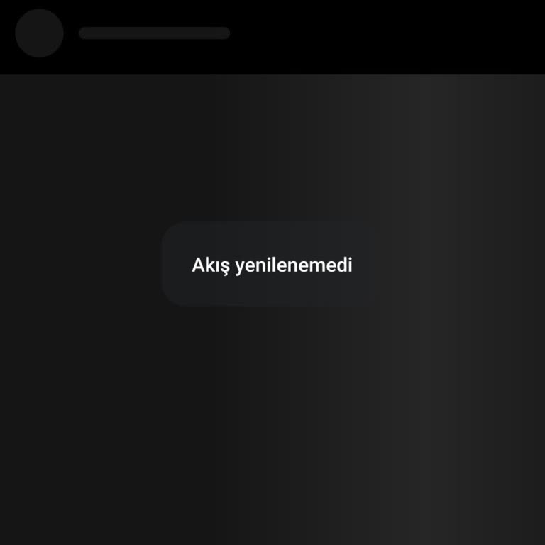 Instagram Akış Yenilenmeme Sorunu Ve Destek Talebi