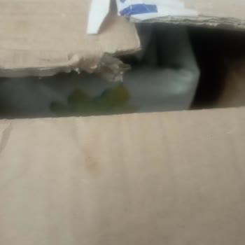 Kusurlu Ve Ambalajsız Ürün, Yetersiz Müşteri Hizmeti: Trendyol Ve English Home Hayal Kırıklığı