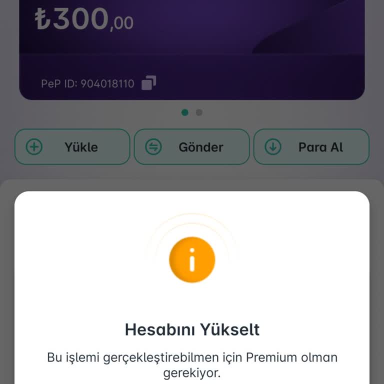 Kimlik Doğrulandı, Premium Olmadı: Param Da Kullanılamıyor!