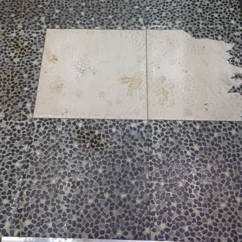 Dökülen Kahve Nedeniyle Apartmanda Hijyen Sorunu Ve Trendyol'un İlgisizliği