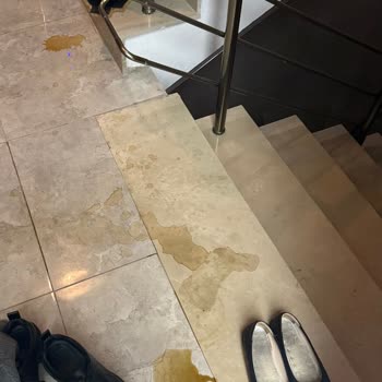 Dökülen Kahve Nedeniyle Apartmanda Hijyen Sorunu Ve Trendyol'un İlgisizliği