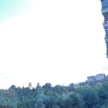 Samsung Note 10 Arka Kamera Parlaklık Sorunu Ve Çözüm Arayışı