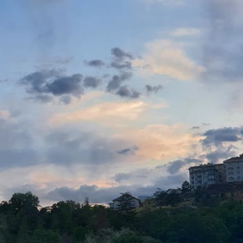 Samsung Note 10 Arka Kamera Parlaklık Sorunu Ve Çözüm Arayışı