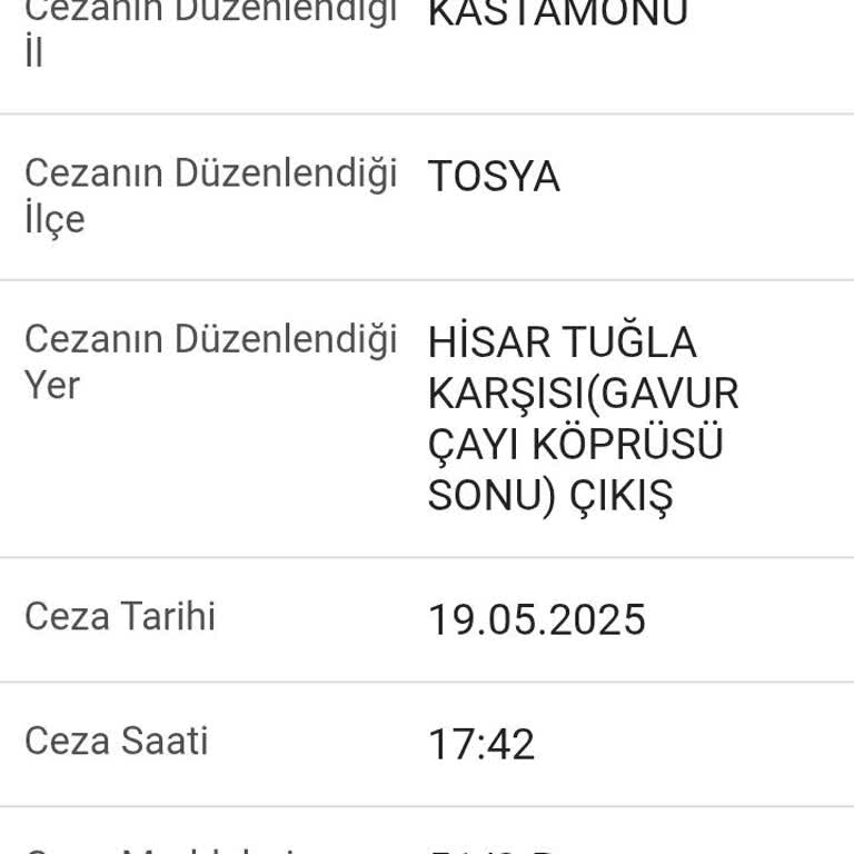 Haksız Hız Cezası Ve Şaşkınlık: Araçta Sorun Mu, Sistemde Mi?