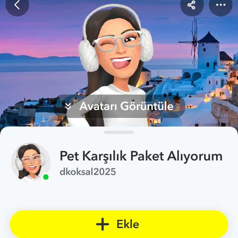 Güvenip Şifremi Paylaştım Değerli Oyun Eşyalarım Kayboldu