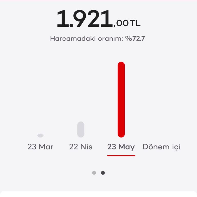 Çözülmeyen Kart Harcaması Mağduriyeti