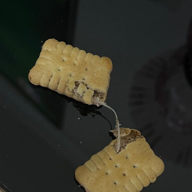 Ülker Mini Pötibör'de Üretim Hatası Ve Kontrol Eksikliği