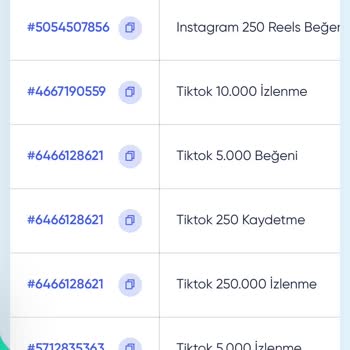 TikTok İzlenme Ve Beğeni Hizmetinde Sürekli Düşüş Ve İade Sorunu Yaşadım