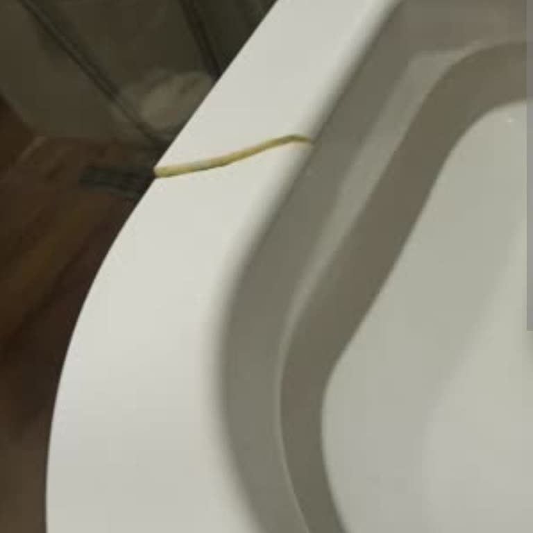 Seramiksan Klozet Kapağı Kırıldı, Yardım Talebim Var