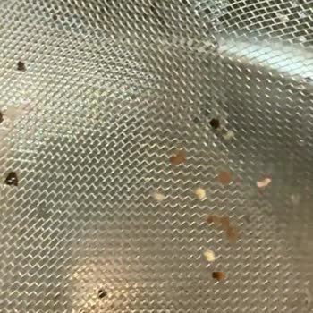 Nestle Nesquik Ürününde Kurtlar Çıktı, Çocuklarımın Sağlığından Endişeliyim