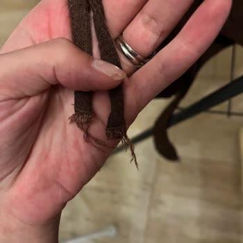 Bir Yıkamada Keten Takımda Yırtılma Şoku!