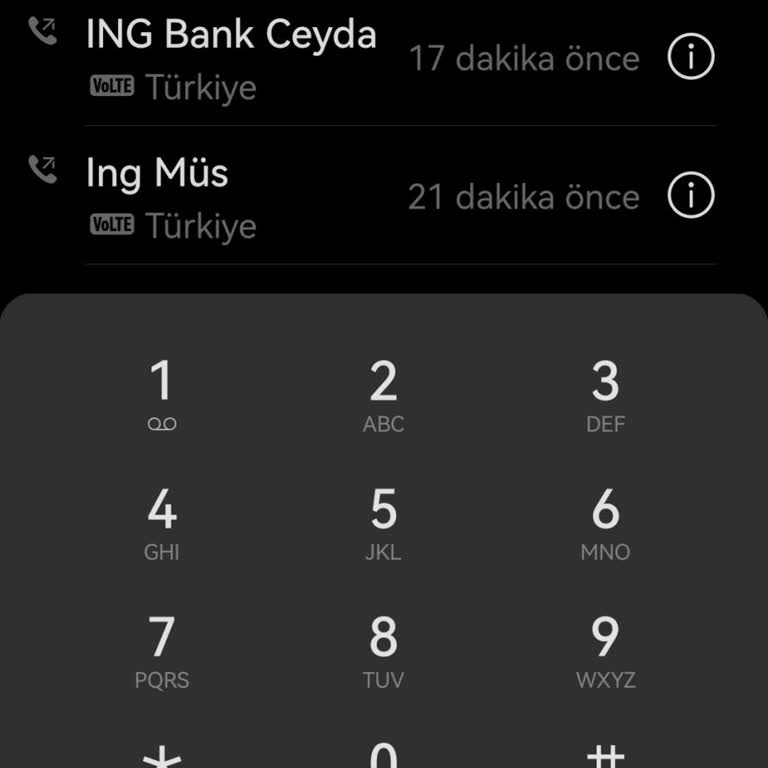 ING Bankası'na Ulaşamıyorum, Mağdur Oldum