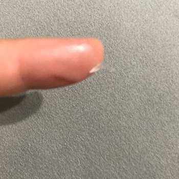 Dondurmanın İçinden Çıkan Plastik Parçalar Sağlığımızı Tehlikeye Attı