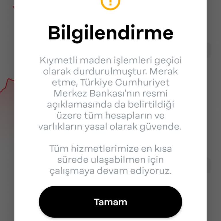 Papara Kıymetli Maden Hesabında Gümüş Satışı Yapılamıyor: Uygulama Hataları Mağduriyet Yaratıyor