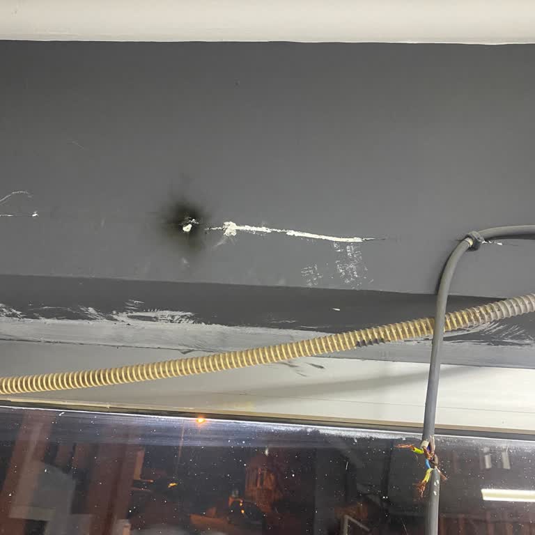 Elektrik Kesintisi Sonrası Klimam Bozuldu Mağduriyetim Giderilmiyor