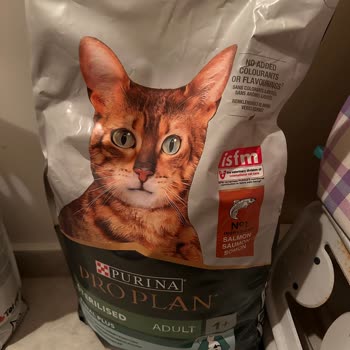 Aldığım Kedi Maması Sahte Olabilir Mi