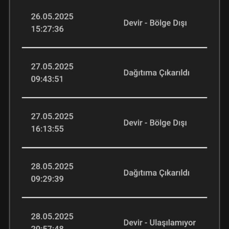 Teslim Edilmeyen Kargo Ve Ulaşılamayan Müşteri Hizmetleri Nedeniyle Yaşanan Mağduriyet