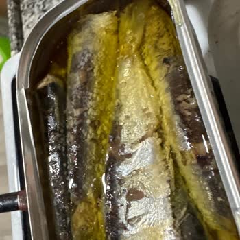 Dardanel Sardalya Konservelerinde Beyaz Noktalı Balıklar Güvenimi Sarstı