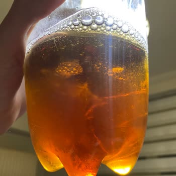 Fuse Tea İçeceğinde Yabancı Maddeyle Karşılaştım, Bilgilendirme Bekliyorum