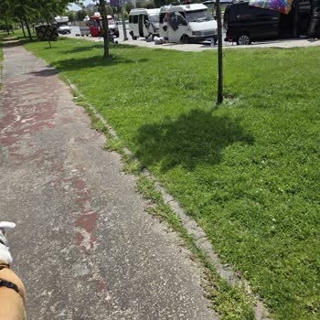 Pendik'teki Cep Otoparkı Ve Parkın Minibüsler Tarafından İşgal Edilmesi Nedeniyle Yaşanan Güvenlik Ve Temizlik Sorunları