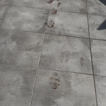 Ortak WC Sorunu Ve Bardaki Ücret Talebi Konaklamayı Zorlaştırdı