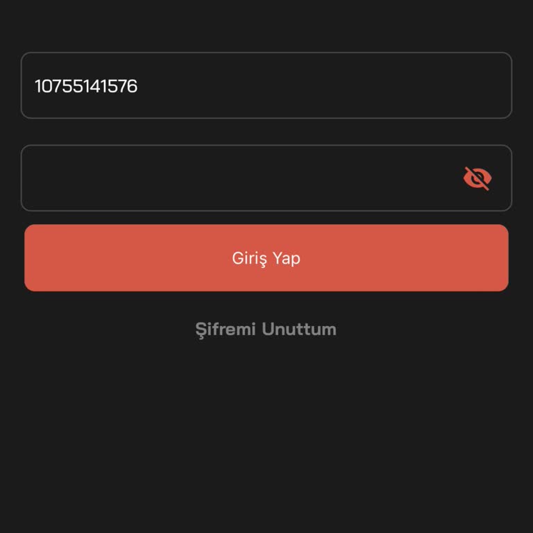 Payfix E-posta Ve Şifre Sorunu Nedeniyle Hesabıma Erişemiyorum