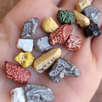 Çitlekçi Bozulmuş Ve Tadı Kötü Çakıl Taşı!