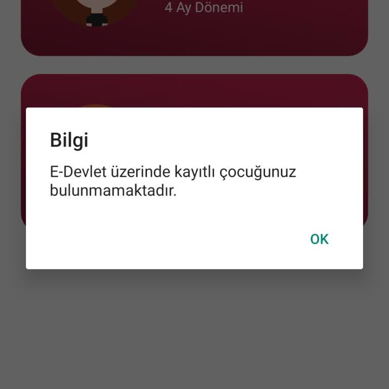 Doğum Yardımı Başvurusunda Ödeme Ve Takip Sorunları Yaşıyorum