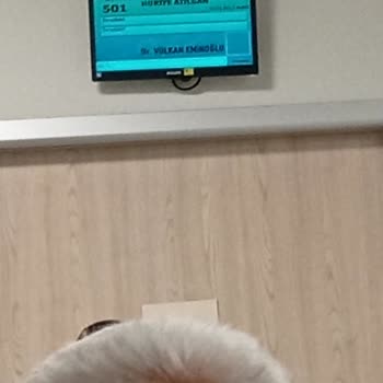 Doktorun Hastaya Saygısız Ve Kaba Davranışı