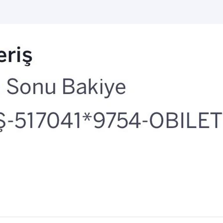 Para Çekildi, Biletim Gözükmüyor Ve Müşteri Hizmetlerine Ulaşamıyorum