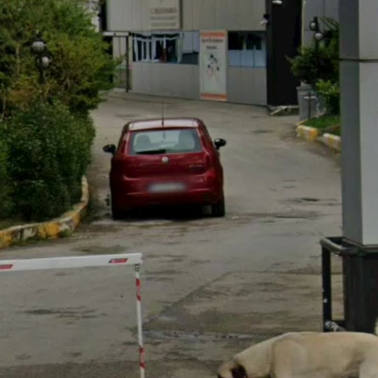 Manisa Valiliği Diş Hekiminin Muayene Sırasında Klinik Dışına Çıkması Ve Hasta Güvenliği Endişesi