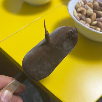 Magnum Dondurmada Yabancı Cisimle Karşılaştım