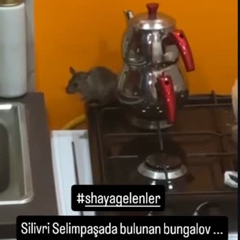 Konaklama Süresince Yaşanan Hijyen Ve Gürültü Sorunları