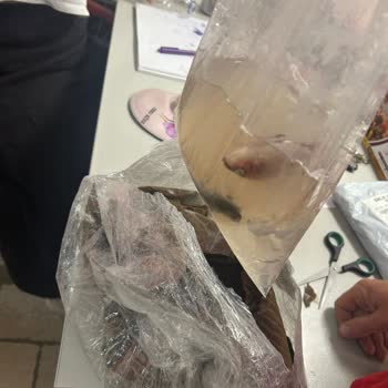 Canlı Pet Shop’tan Gelen Balıklar Ölü Ve Paket Patlamış!