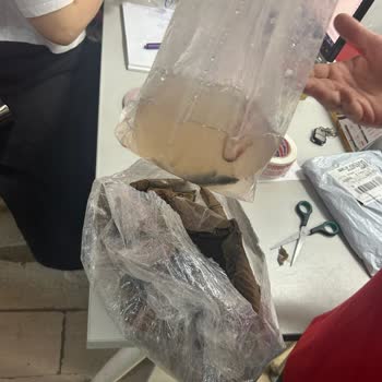 Canlı Pet Shop’tan Gelen Balıklar Ölü Ve Paket Patlamış!