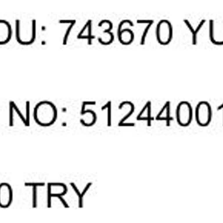 Banka Hesabımdan Para Çekildi, Biletim Ve Destek Bulamıyorum