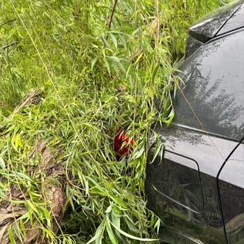 Sompo Sigorta Eksperiz Kararı Ve İkame Araç Süresi Mağduriyetim