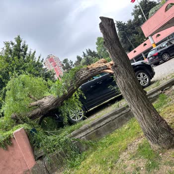 Sompo Sigorta Eksperiz Kararı Ve İkame Araç Süresi Mağduriyetim