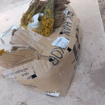 Sürat Kargo Yüzünden Ürünüm Çürüdü Ve Zarar Ettim