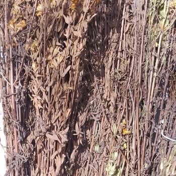 Sürat Kargo Yüzünden Ürünüm Çürüdü Ve Zarar Ettim