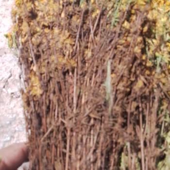 Sürat Kargo Yüzünden Ürünüm Çürüdü Ve Zarar Ettim