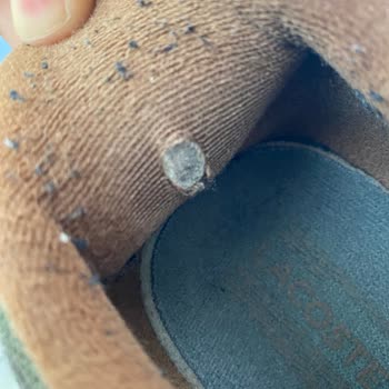 Lacoste Ayakkabıda Kısa Sürede İç Astar Delinmesi Ve Olumsuz İnceleme Sonucu