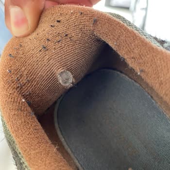 Lacoste Ayakkabıda Kısa Sürede İç Astar Delinmesi Ve Olumsuz İnceleme Sonucu