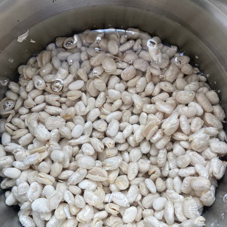 Aldığım Kuru Fasulye 1 Saatte Dağıldı!